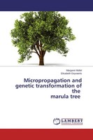 Micropropagation And Genetic Transformation Of The Marula Tree Elisabeth Goyv