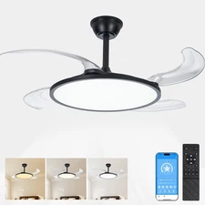 42'' Ceiling Fan with Light Black Low Profile Retractable  Remote & APP Control