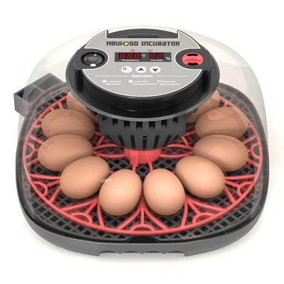 Incubadora De 12 Huevos Pollos Gallina Automatica Encubadoras Digital En Oferta