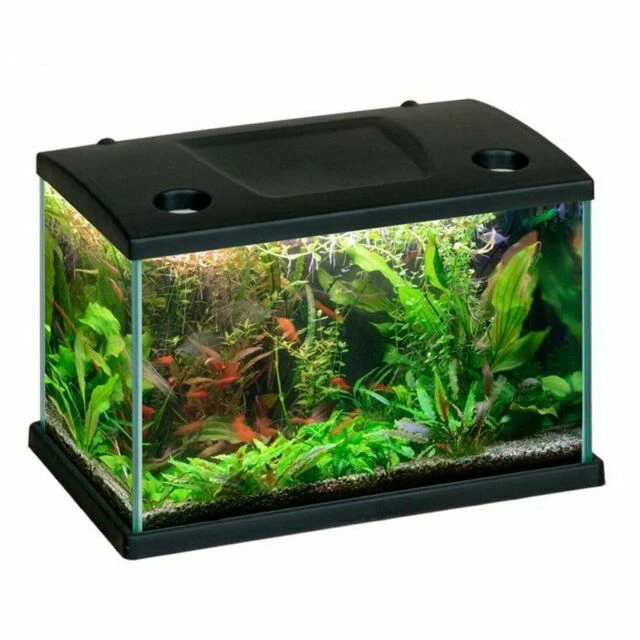 Acquari set completo