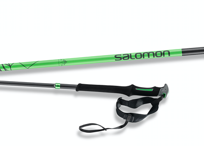 salomon trail poles