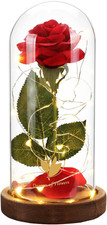 Valentines Day Gifts for Her,Beauty and the Beast Rose in Glass Dome,Lasts Forev