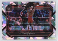 2023 Panini Prizm WWE Ice Prizm Rick Boogs #87 1hp9