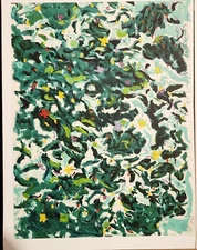 TONY CURTIS UNITED NATIONS LITHOGRAPH LIMITED EDITION, SIGNED #335/750 COA