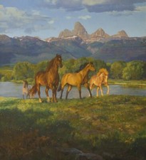 Ceramic Backsplash Tile Mural Horse Animal Kitchen/Bathroom - Feeling Free