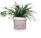 African Kiondo Basket Woven Sisal Storage Planter Kenyan Made Size 8 in /20.3 cm