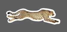 Cheetah Sticker Running Speed Animal Outdoor Wildlife Nature Gift Waterproof NEW