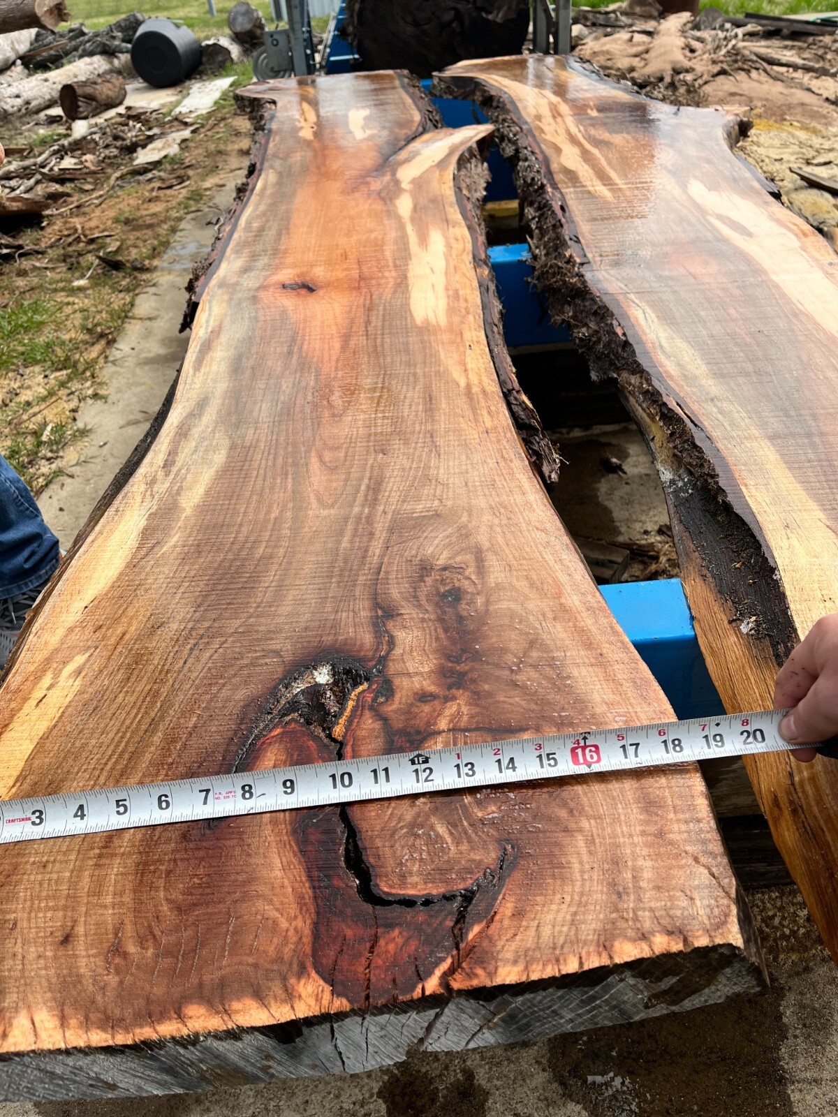 Pecan Live Edge Slabs / Kiln Dried, Flattened, Planed / Various Sizes