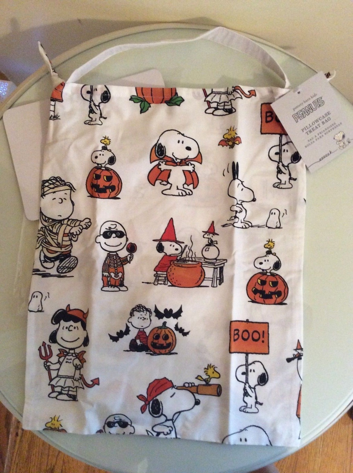 Snoopy Disney Pottery barn Halloween Pillowcase Treat bag holiday gift school eBay