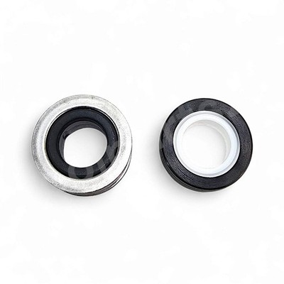 Aqua Flo Gleitringdichtung XP XP2 XP2e XP3 HP CP PS200 Wellendichtung Whirlpool