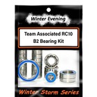 Winter Evening - Team Associated RC10 B2 Bearing Kit