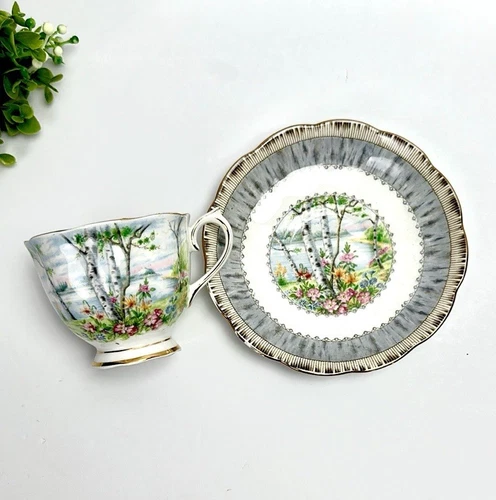 Royal Albert Silver Birch Footed Cup and Saucer Set Porcelain England