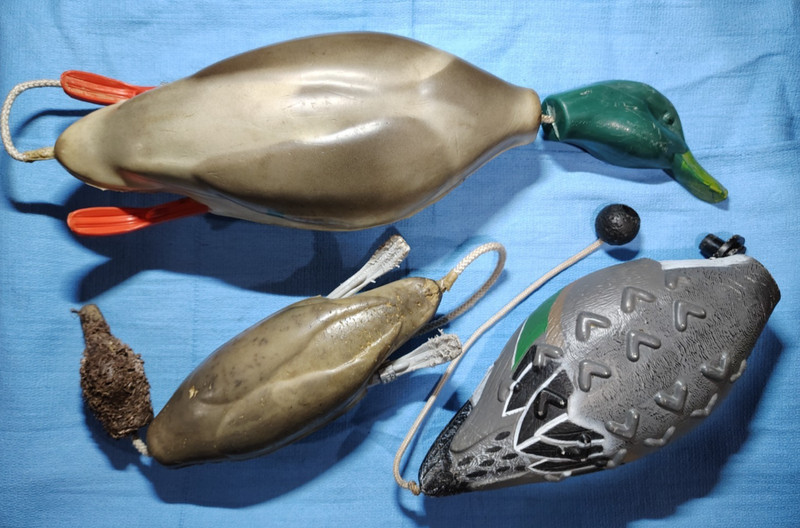 Dokken and Avery Floating Dog Training Dummies (3), Mallard, Pintail, Teal