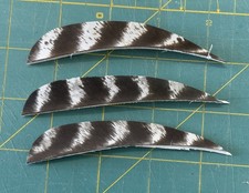 4" Right Wing Parabolic Natural Barred Feather Fletching, 25Pk Archery      