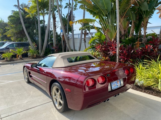 2003 Burgundy Chevrolet Corvette   | C5 Corvette Photo 6