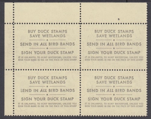 RW48UR MNH $7.50 1981 MIGRATORY BIRD HUNTING STAMP, RUDDY DUCKS, SEE 2 PICS - Picture 2 of 2