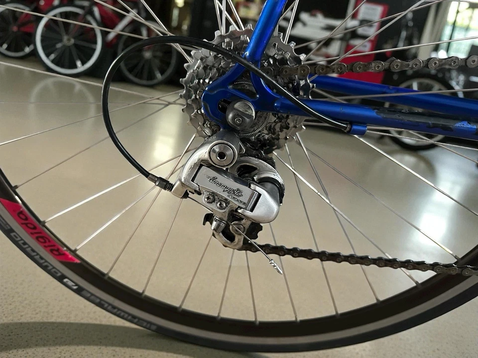 Gazelle Race vintage Road bik | Reynolds 525 Steel 58cm | Full Campagnolo 2×8 | - Bild 3 von 4