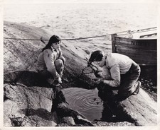 Ingmar Bergman SUMMER WITH MONIKA Three original photographs from the #151452