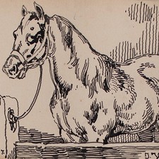 Joseph Simon Volmar cavallo studio pittura animali pezzo unico disegno inchiostro 1852