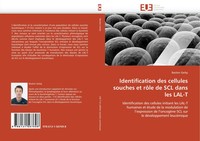 Bastien Gerby | Identification Des Cellules Souches Et RôLe De SCL Dans Les...