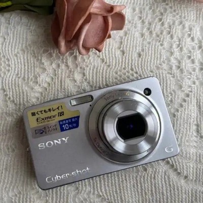Sony Cyber-shot Dsc-wx100 - Digital Camera for sale online | eBay