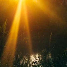 MY ONLY SUNSHINE (type) Fragrance Oil to craft Candles Soap Lotion Bath products