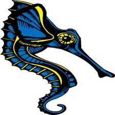 30 Custom Futuristic Blue Sea Horse Personalized Address Labels