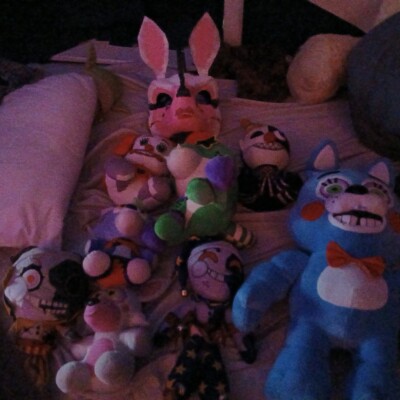 FNAF PLUSHIES!! 