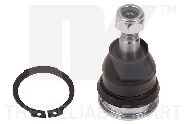 Nk Trag-/FüHrungsgelenk 5044538 FüR CitroËN Peugeot Toyota-image