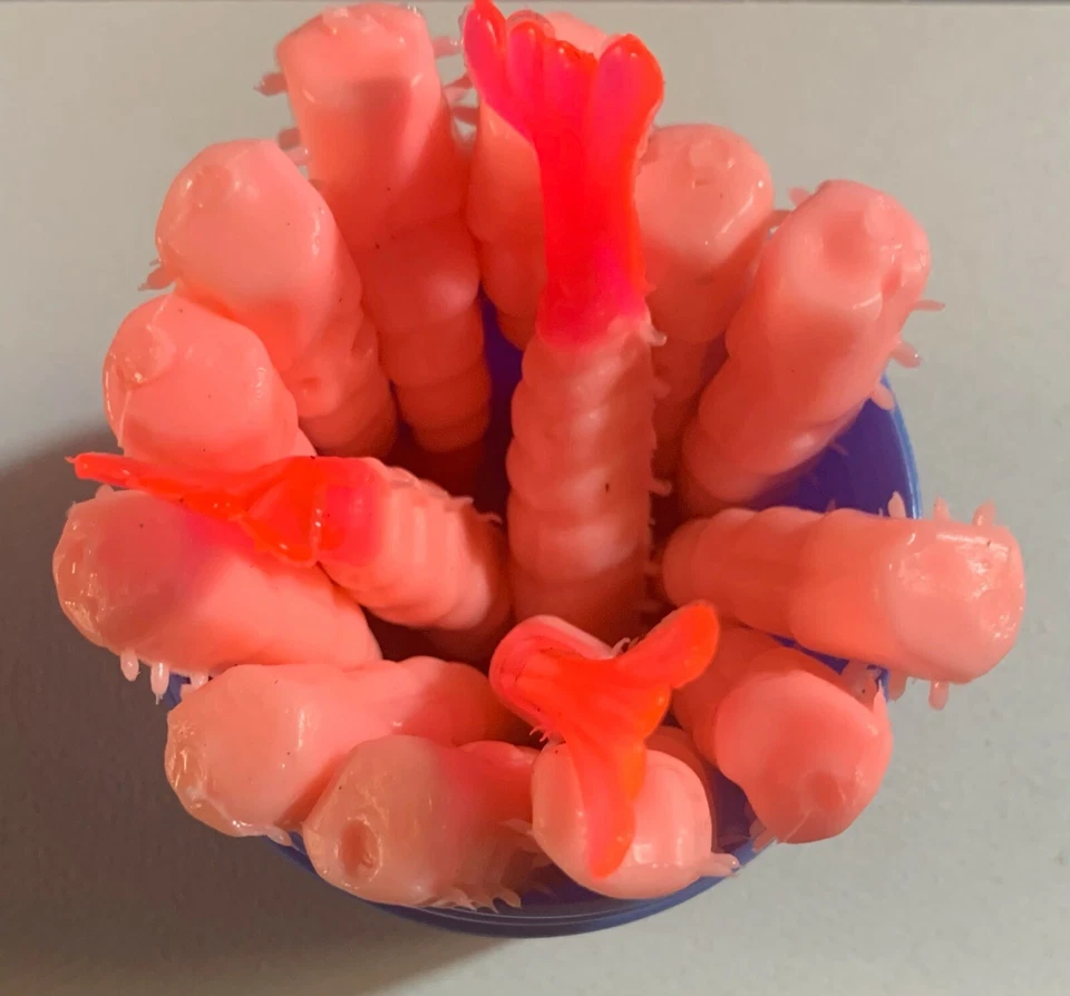 COLA DE CAMARÓN 15 unidades tarro de 4 oz fuerte aroma a camarón cebos suaves de 2 1/2 pulgadas Foto 2 de 3