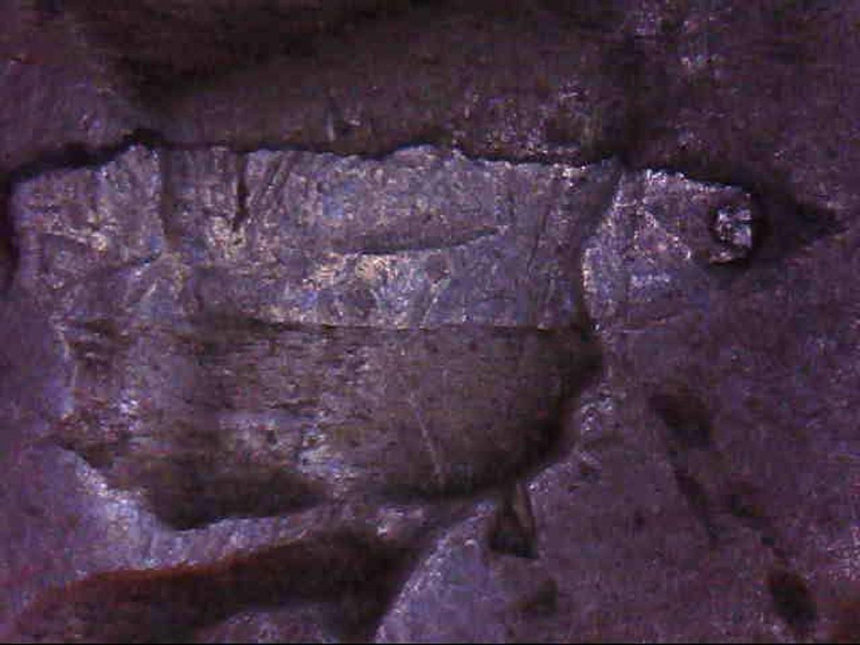 Picture 5 of 10
