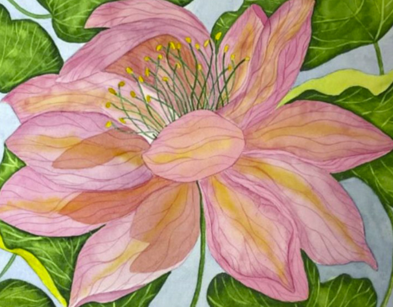 PAINTING WATERCOLOR 11X14 DOUBLE WHITE MAT 16X20 FLOWER LOTUS PINK CORAL ORANGE
