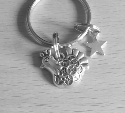Wunderschöner Stern Huhn / Henne Schlüsselanhänger Bagcharm wunderbar nützliches Geschenk      
