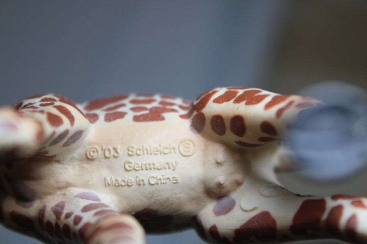 Picture 6 of 23