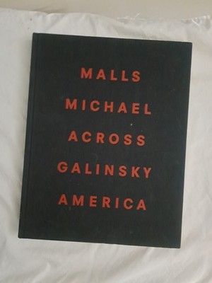 MALLS ACROSS AMERICA by Michael Galinsky / Steidl-Miles 2013 Hardcover - OOP