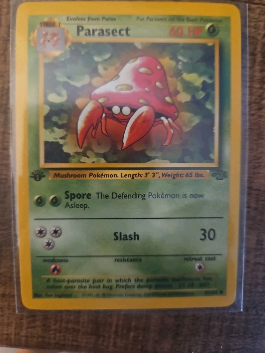 Pokemon 1st Edition Parasect Uncommon  Jungle 41/64 NM