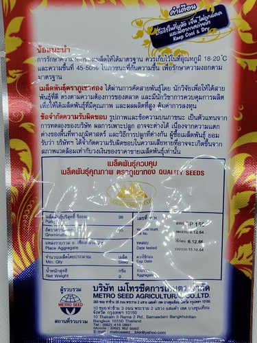 Chinese Water Spinach Thai Morning Glory Convolvulus Seeds Ong Choy Kang Kong GM - Picture 2 of 3