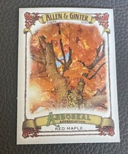 2021 Topps Allen & Ginter Arboreal Appreciation #AA-5 Red Maple
