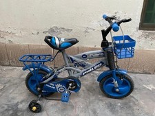 Kids Bicycle 12 Inch Blue Silver Boys Girls Bike with Stabilisers, Basket & Rear