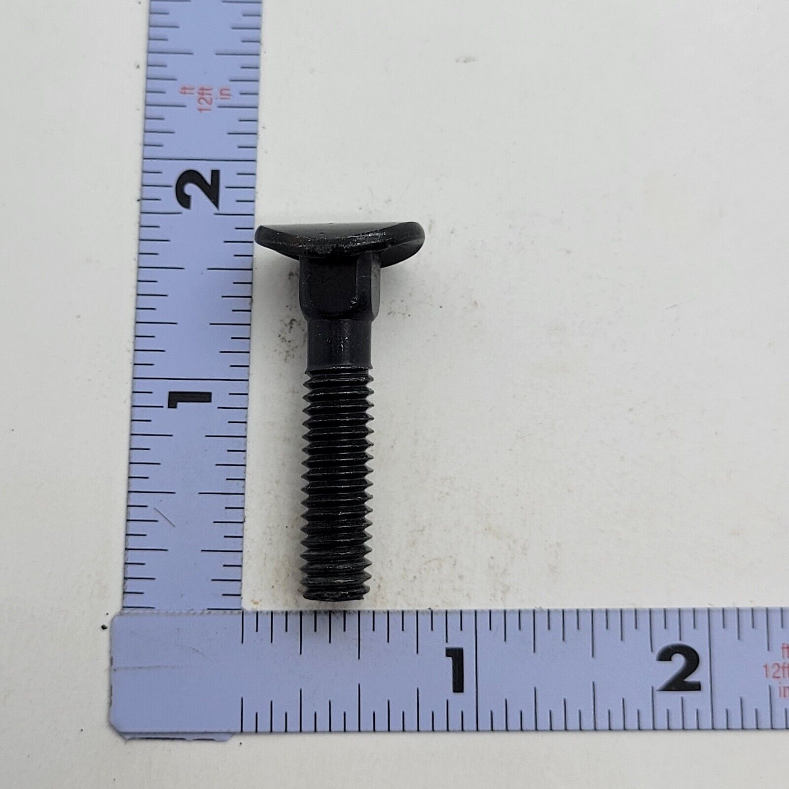 Picture 5 of 6
