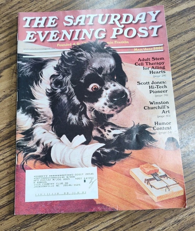 Saturday Evening Post Magazine Adult Stem Cell Therapy May June 2006 