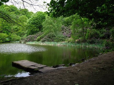 Foto A3 The Fishpond, Fishpond Wood, Bewerley Pateley Bridge c2011