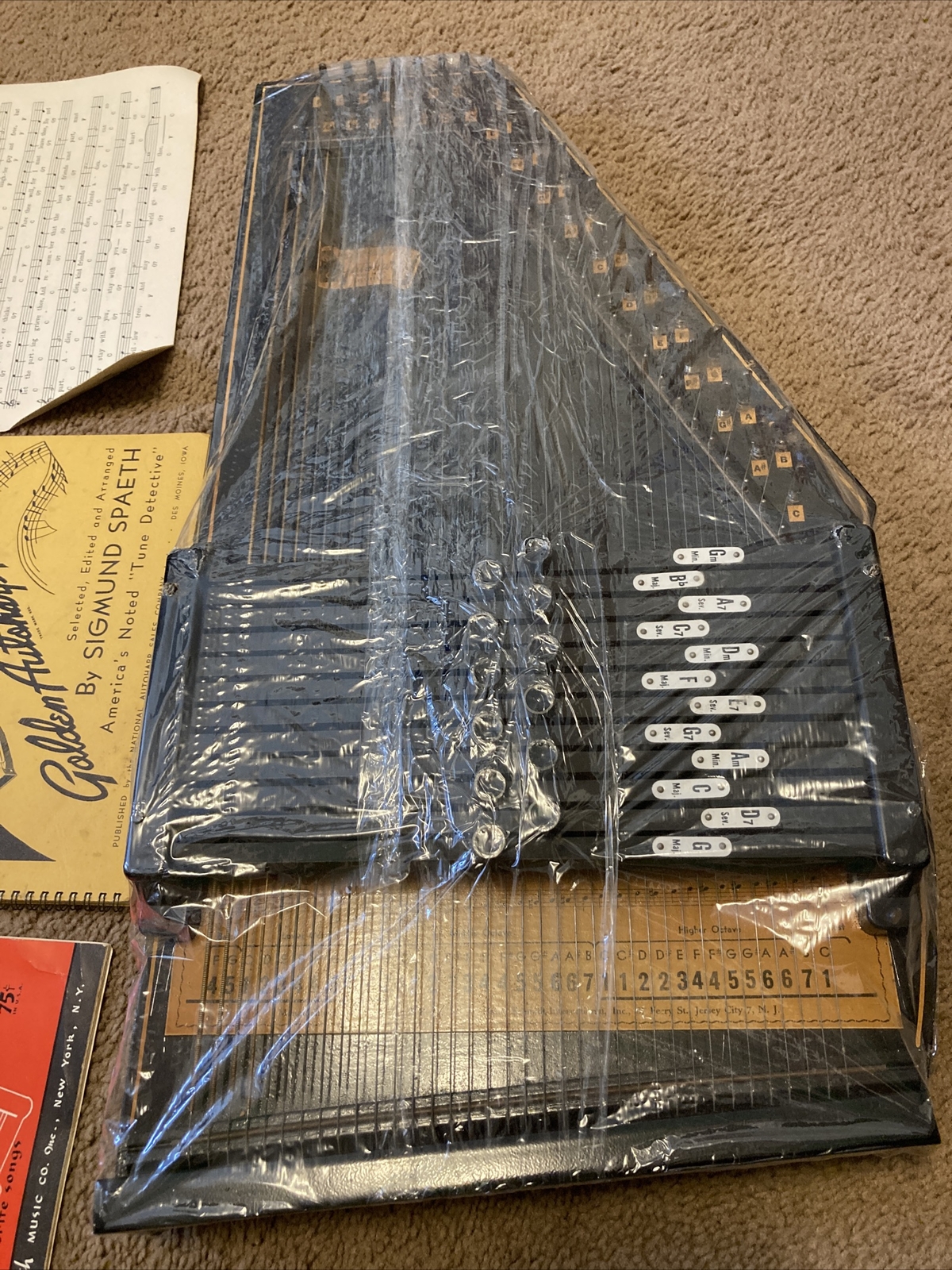 Autoharp Oscar Schmidt eBay