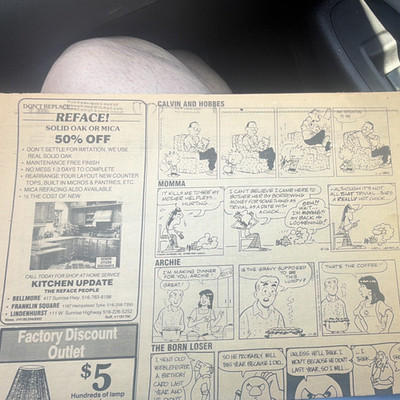 Calvin & Hobbes Garfield Archie Comic Strips Clipped Page B&W Watterson