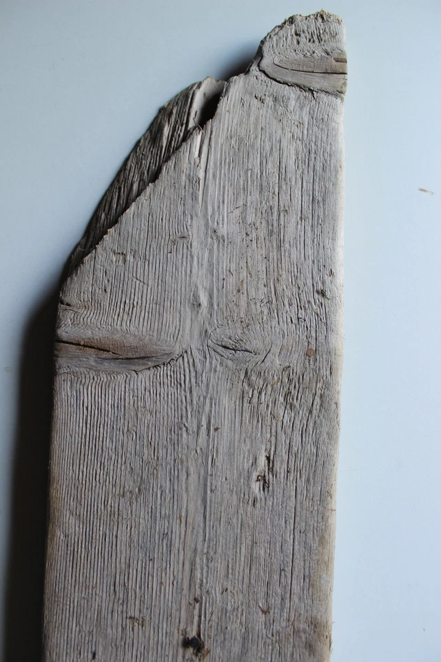 Treibholz Schwemmholz 1 MEGA Brett Garten Basteln,Deko Terrarien Regal Garderobe - Bild 3 von 4