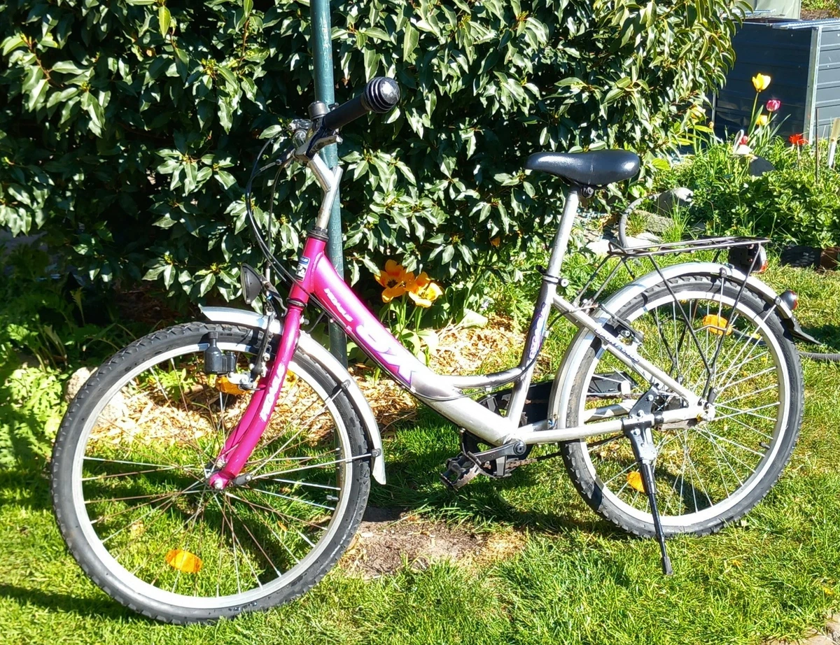 fahrradanhänger transport TRIPPER ELECTRIC BIKES main image 1
