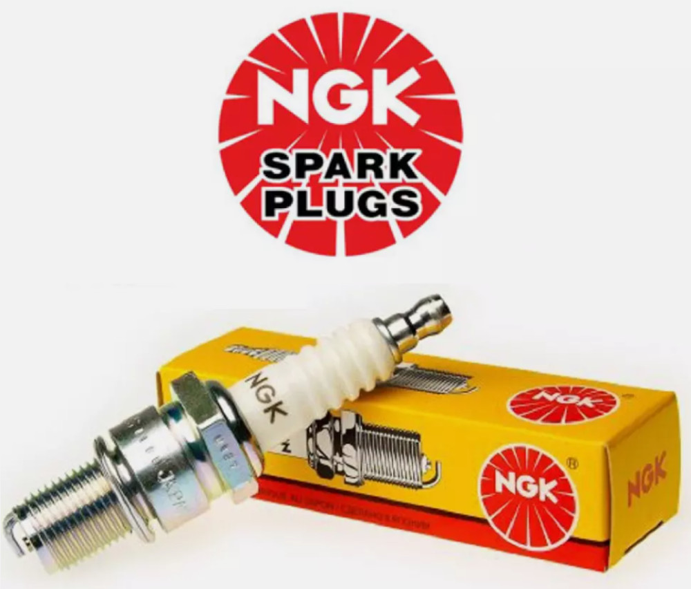 1982-1984 Harley Davidson Shovel Head NGK ZGR5C Spark Plug 6334 QTY-2