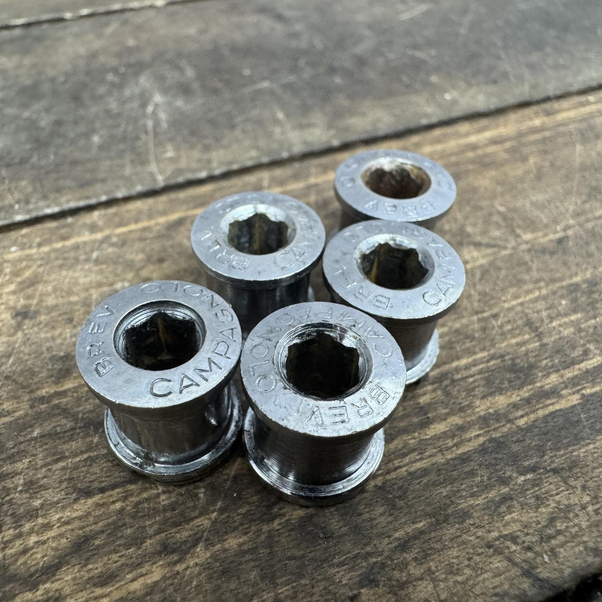 Vintage Campagnolo Record Chainring Bolts Set 5 BREV Crank