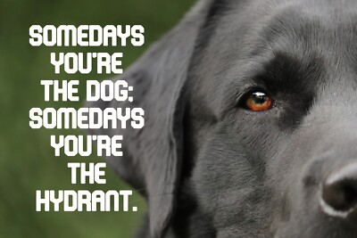 SOME DAYS YOUR THE DOG *2X3 FRIDGE MAGNET* YOURE THE HYDRANT FUNNY PUPPY POOCH