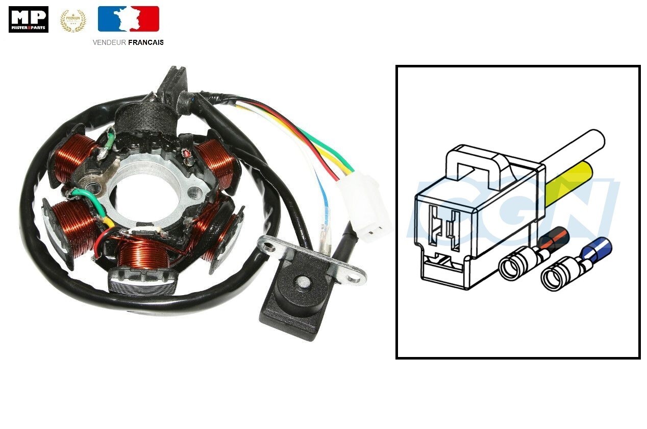 Stator d'allumage 6 pôles avec bobinage cuivre pour moteur GY6 50cc